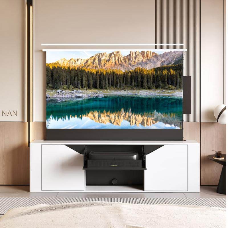 順和、迪盛スクリーンR30インビジブルホームシネマリカードデ - Home Cinema Tv Screen のレビューと価格